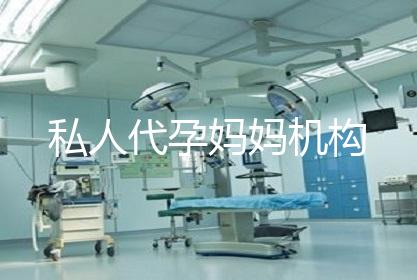 私人代孕妈妈机构