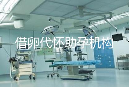 借卵代怀助孕机构
