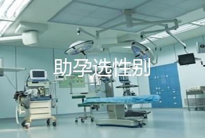 助孕选性别