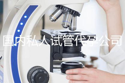 国内私人试管代孕公司