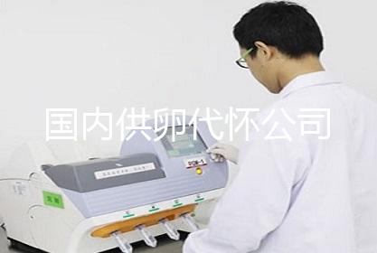 国内供卵代怀公司