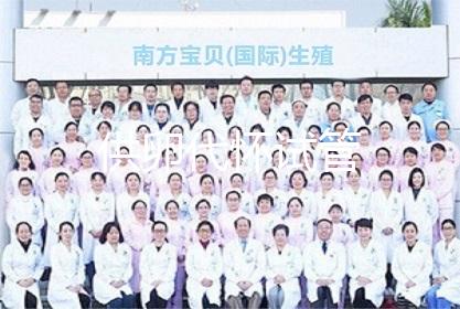 供卵代怀试管