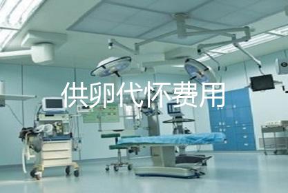 供卵代怀费用