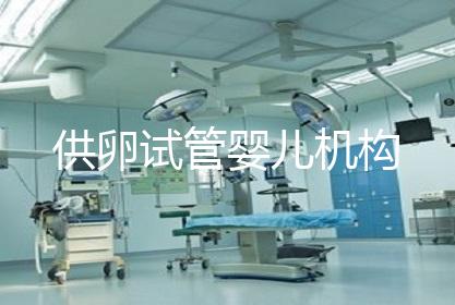 供卵试管婴儿机构