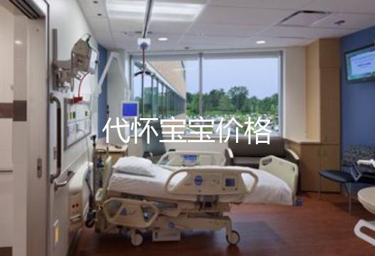 代怀宝宝价格