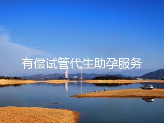 有偿试管代生助孕服务