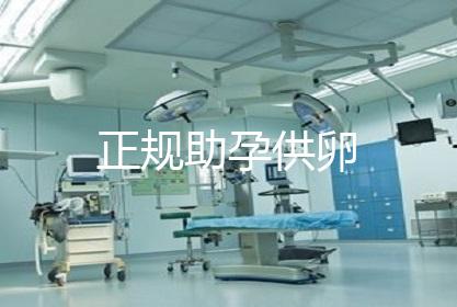 正规助孕供卵