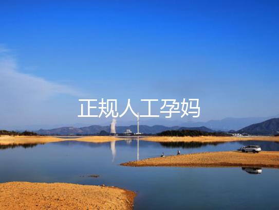 正规人工孕妈